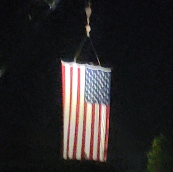 Meet your Posher, Sam - Picture 12 of 12